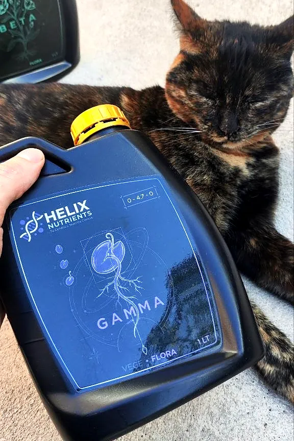 Envase HELIX GAMMA de 1 L sostenido a mano, con una gata carey de ojos cerrados detrás, foto real